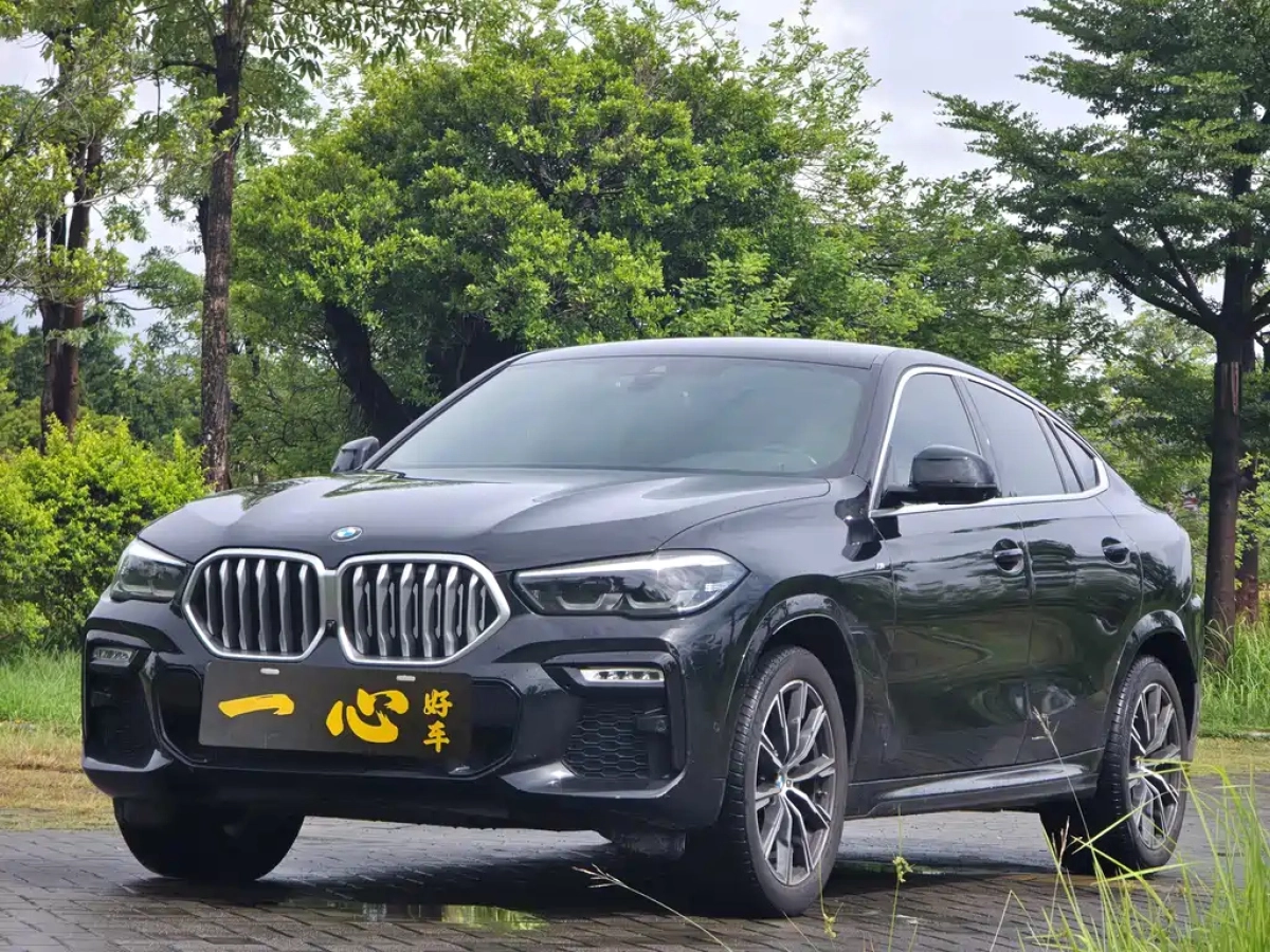 BMW X6