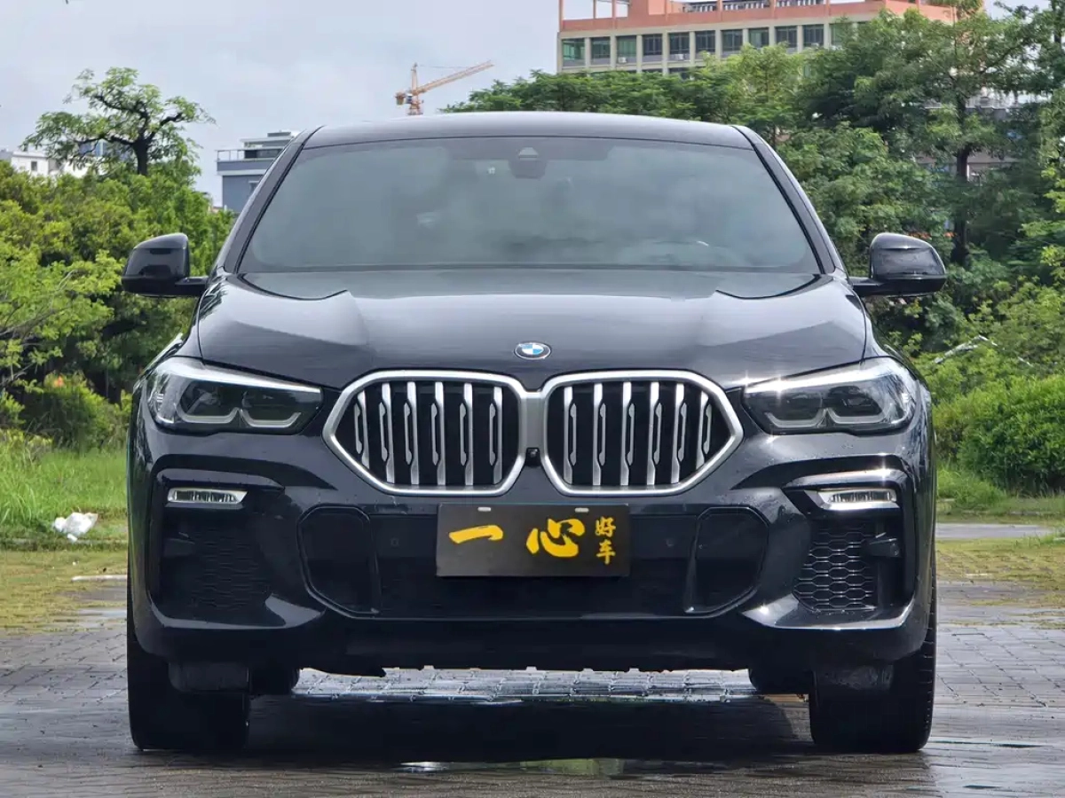 BMW X6
