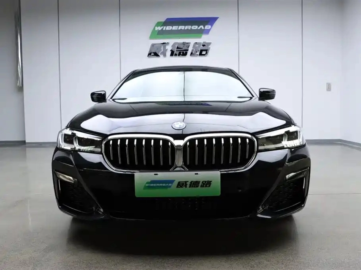 BMW 5-SERIES NEW ENERGY