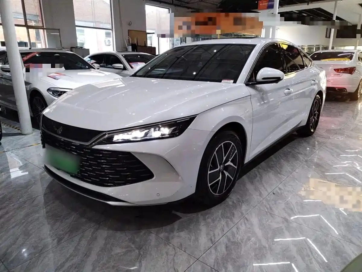BYD QIN L