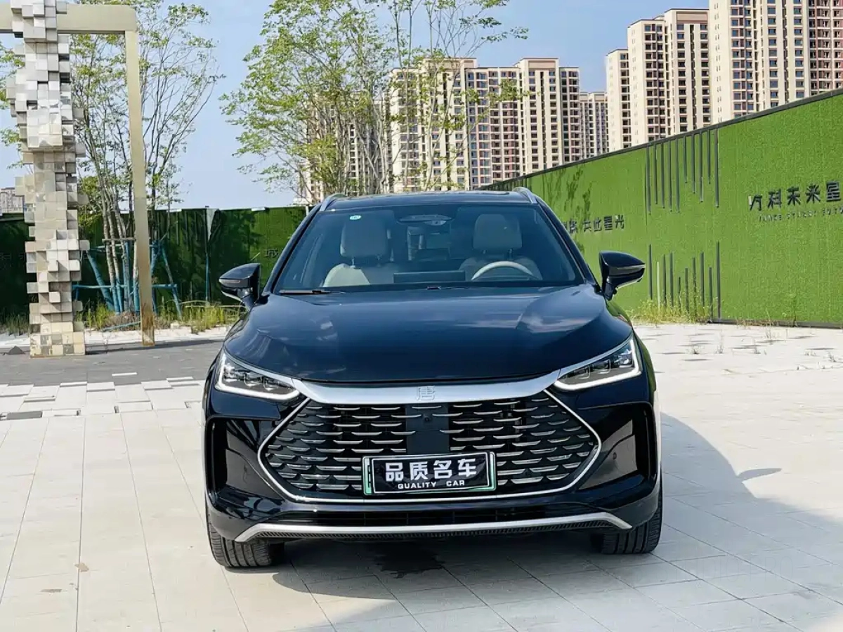 BYD TANG NEW ENERGY