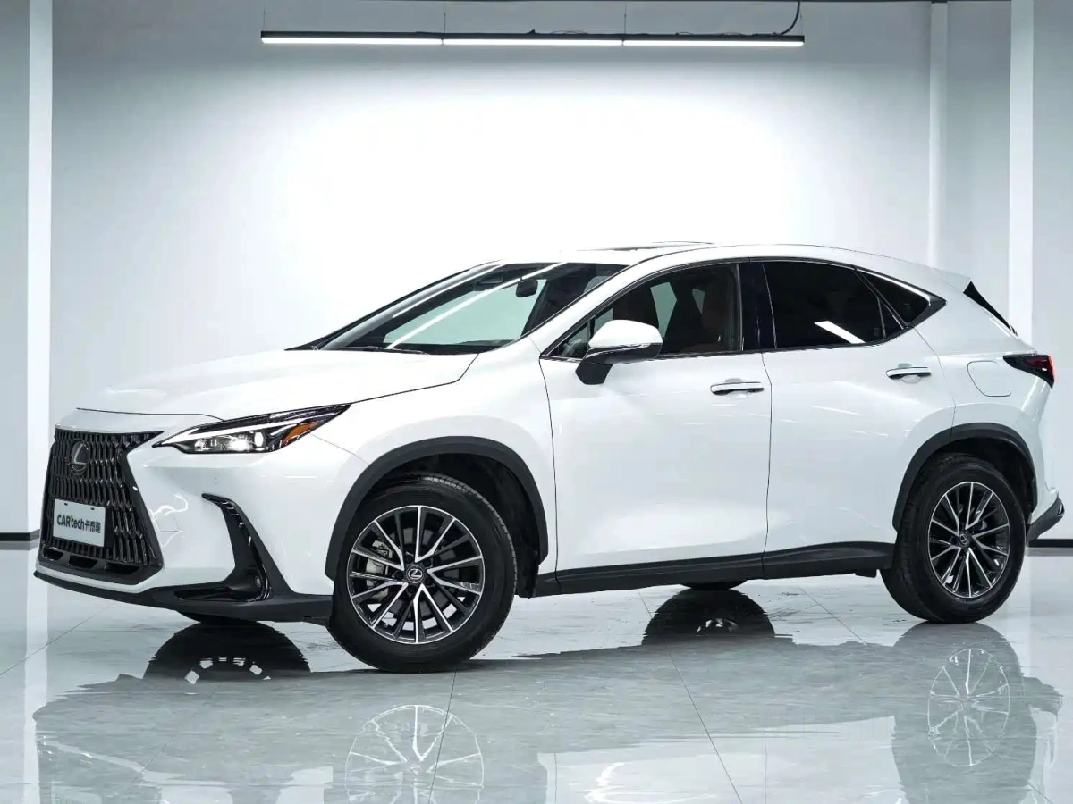 LEXUS NX  2022