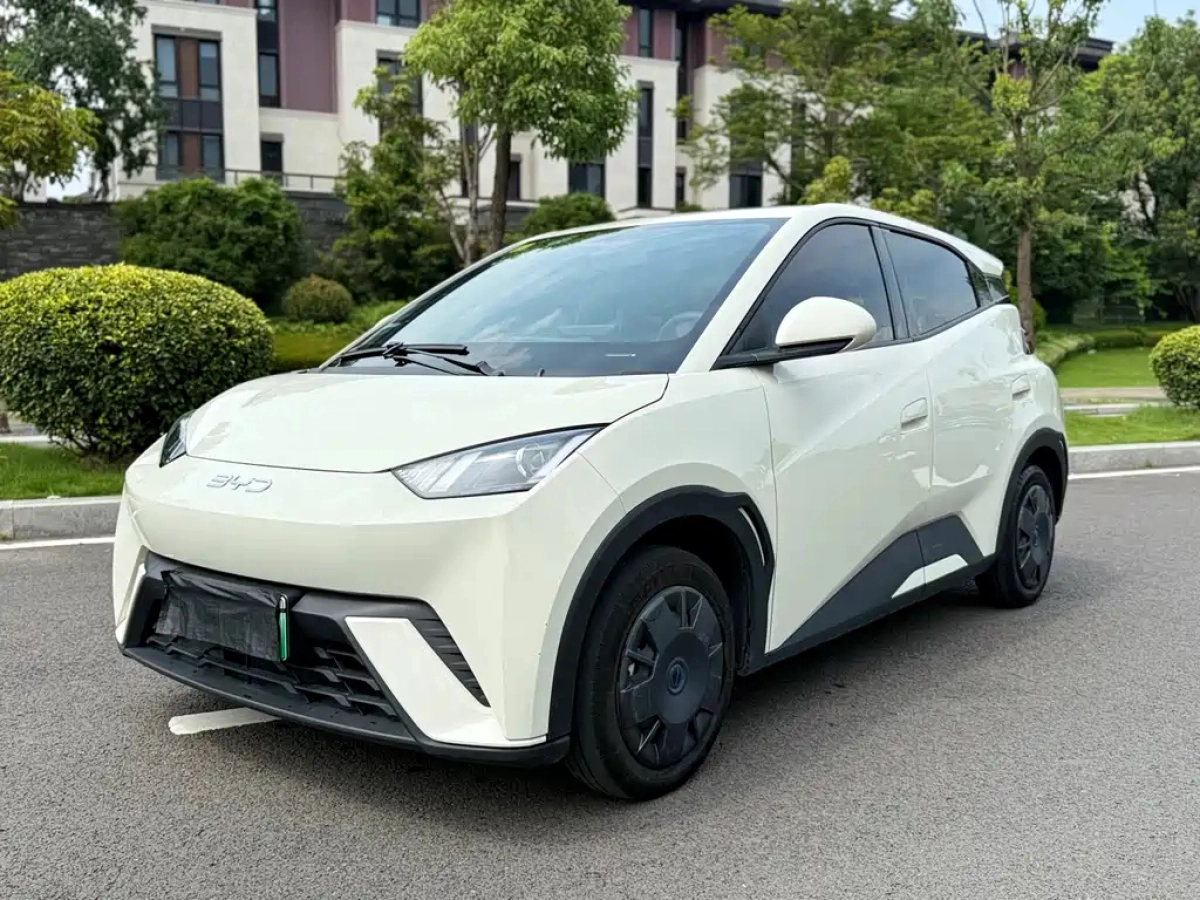 BYD SEAGULL  2024