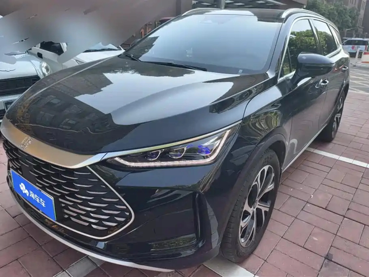 BYD TANG NEW ENERGY  2024