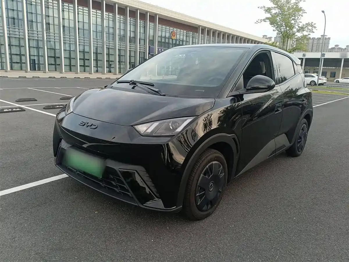 BYD SEAGULL  2024