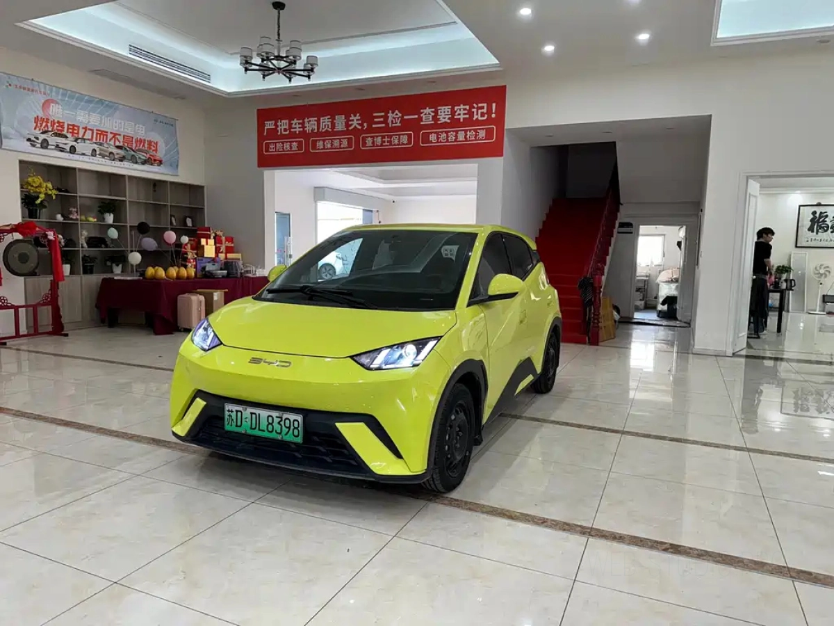 BYD SEAGULL  2023