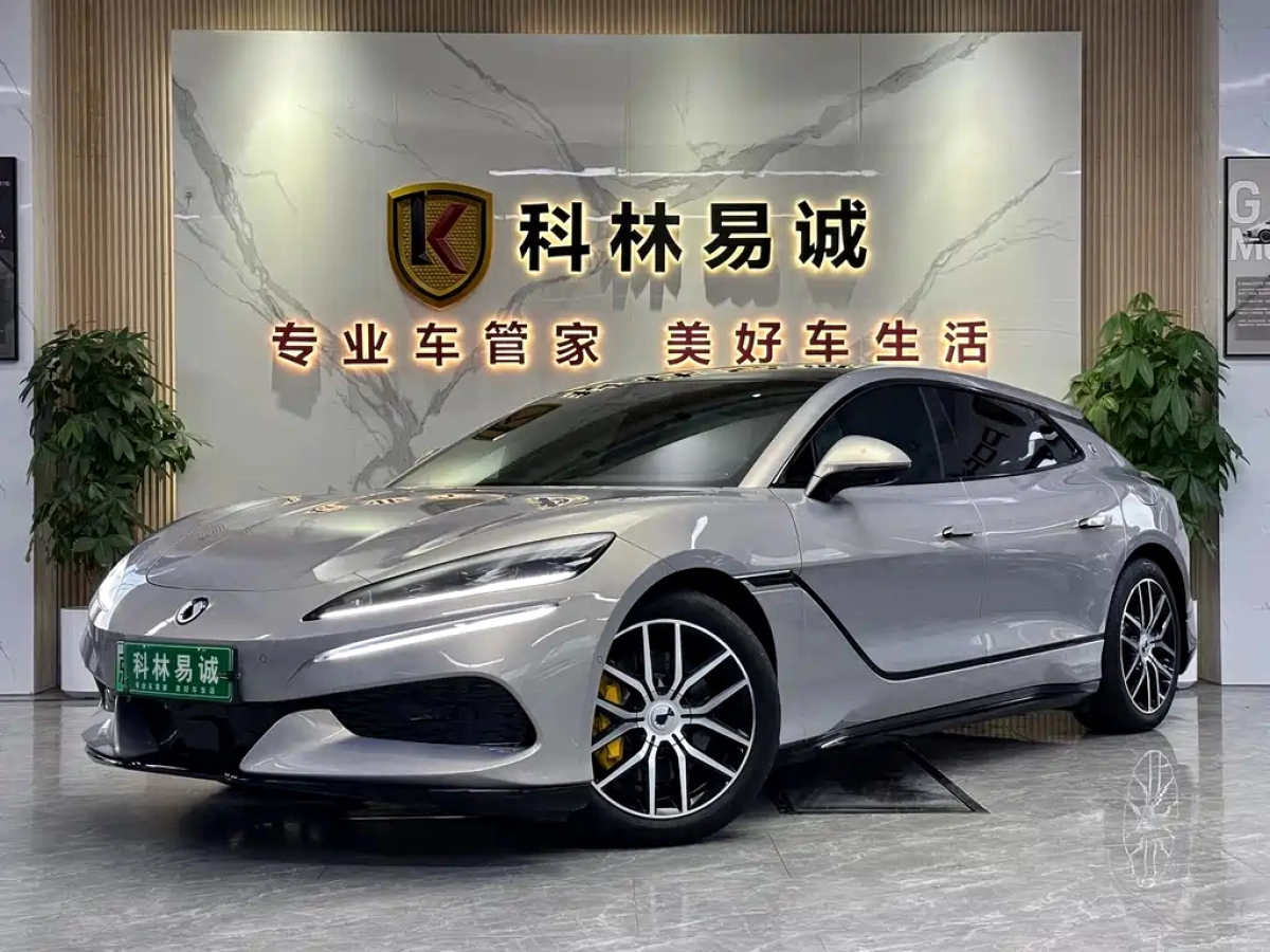 DENZA Z9GT  2025