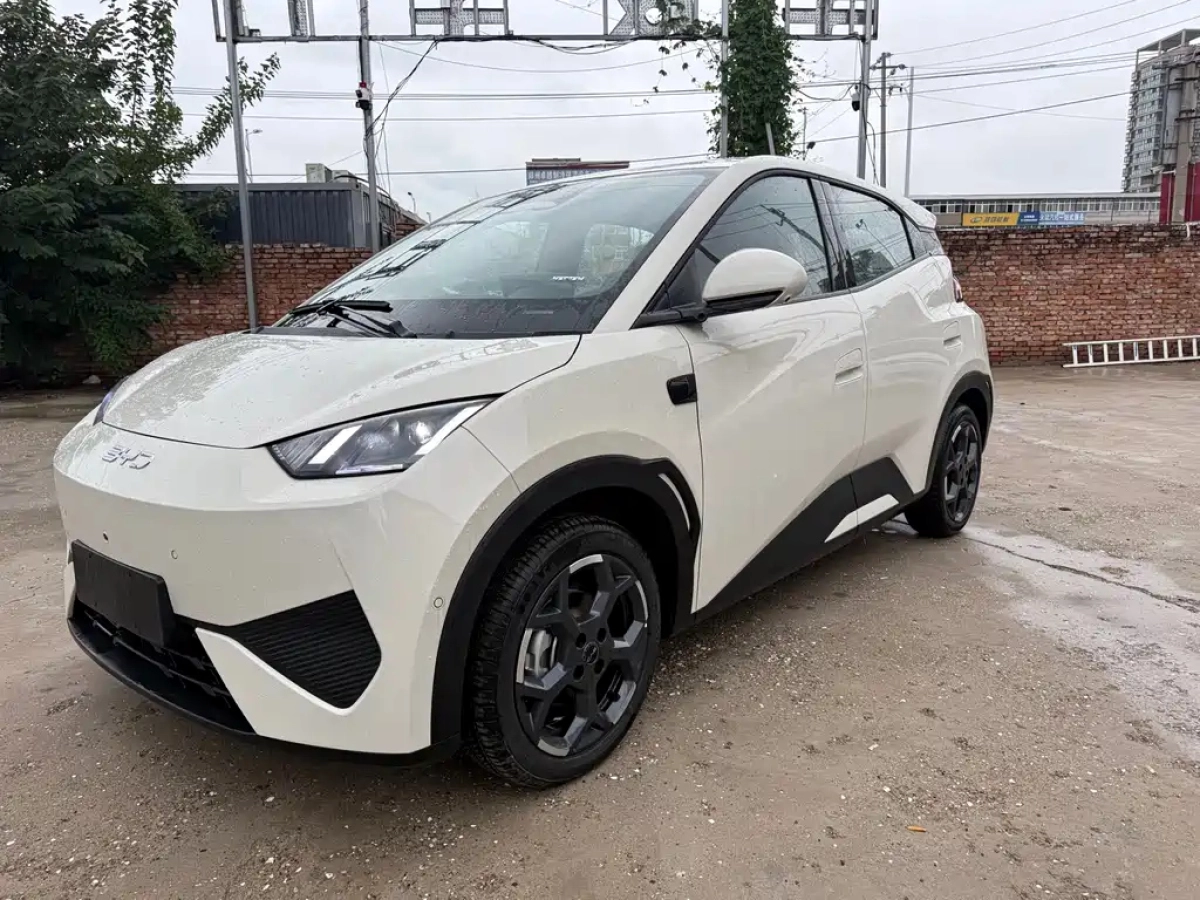 BYD SEAGULL  2025