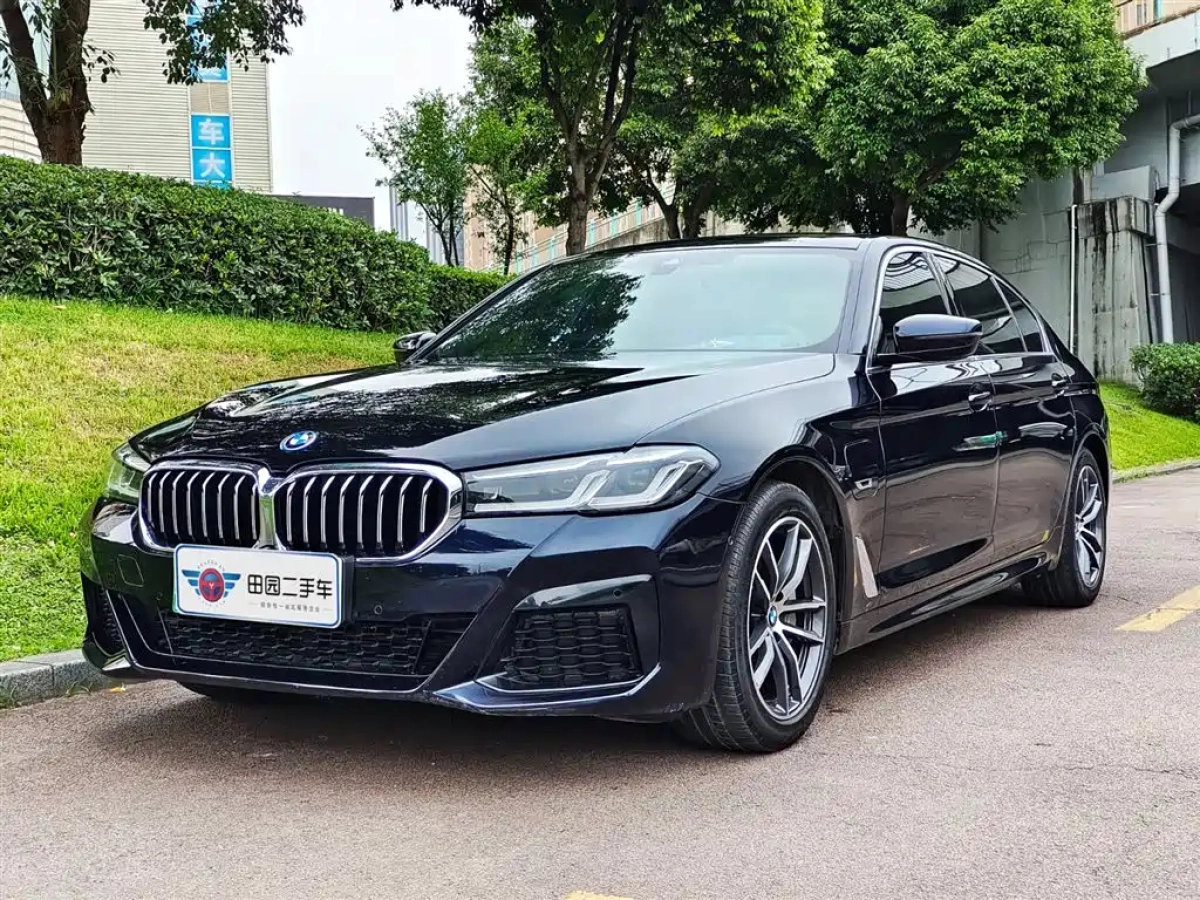 BMW 5-SERIES NEW ENERGY  2021