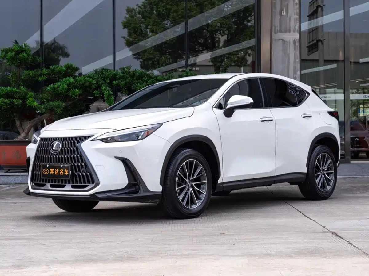 LEXUS NX  2024
