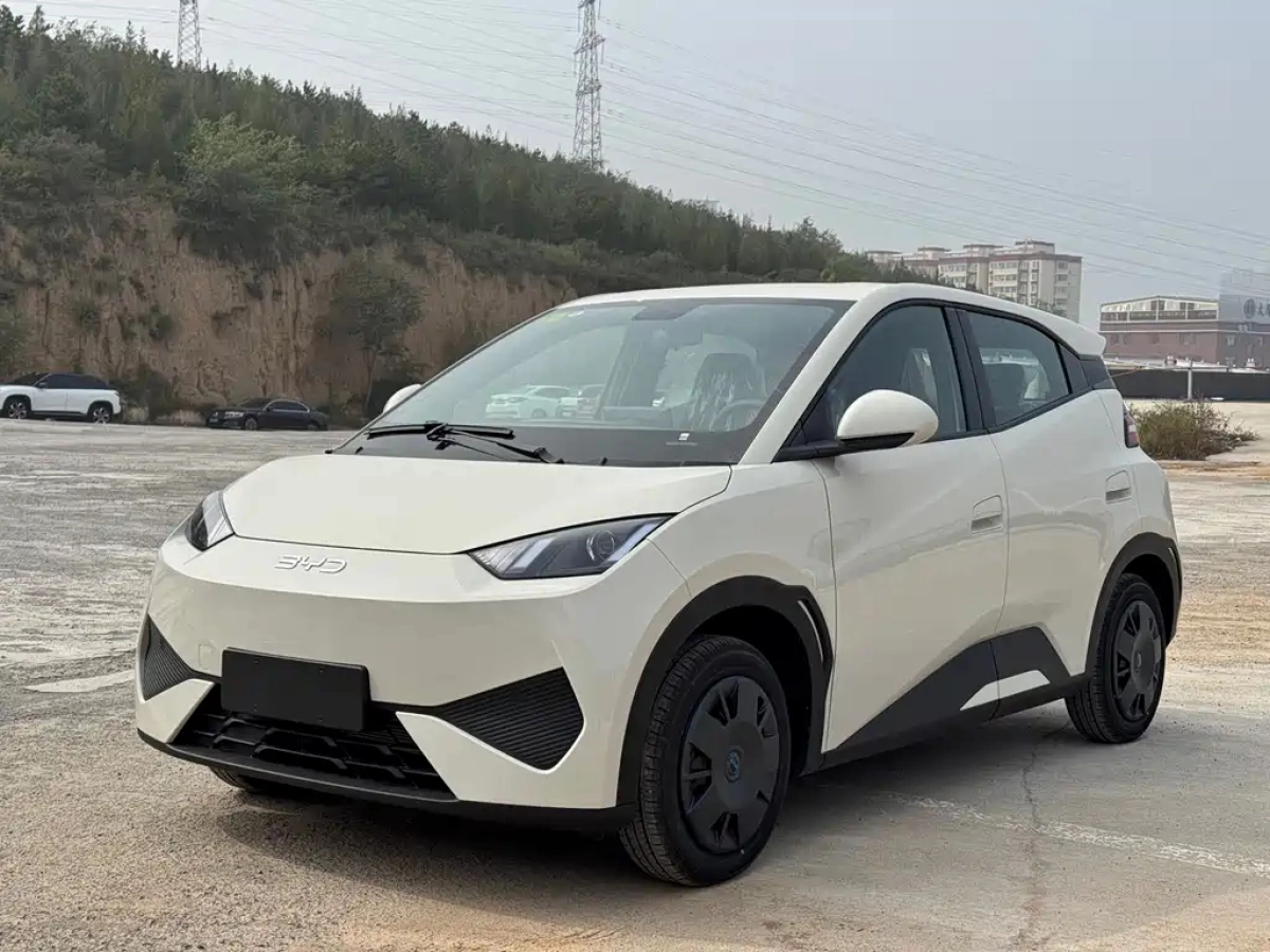 BYD SEAGULL  2025