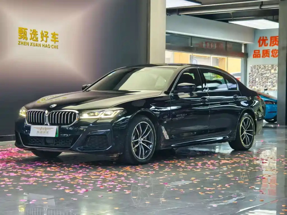 BMW 5-SERIES NEW ENERGY  2021