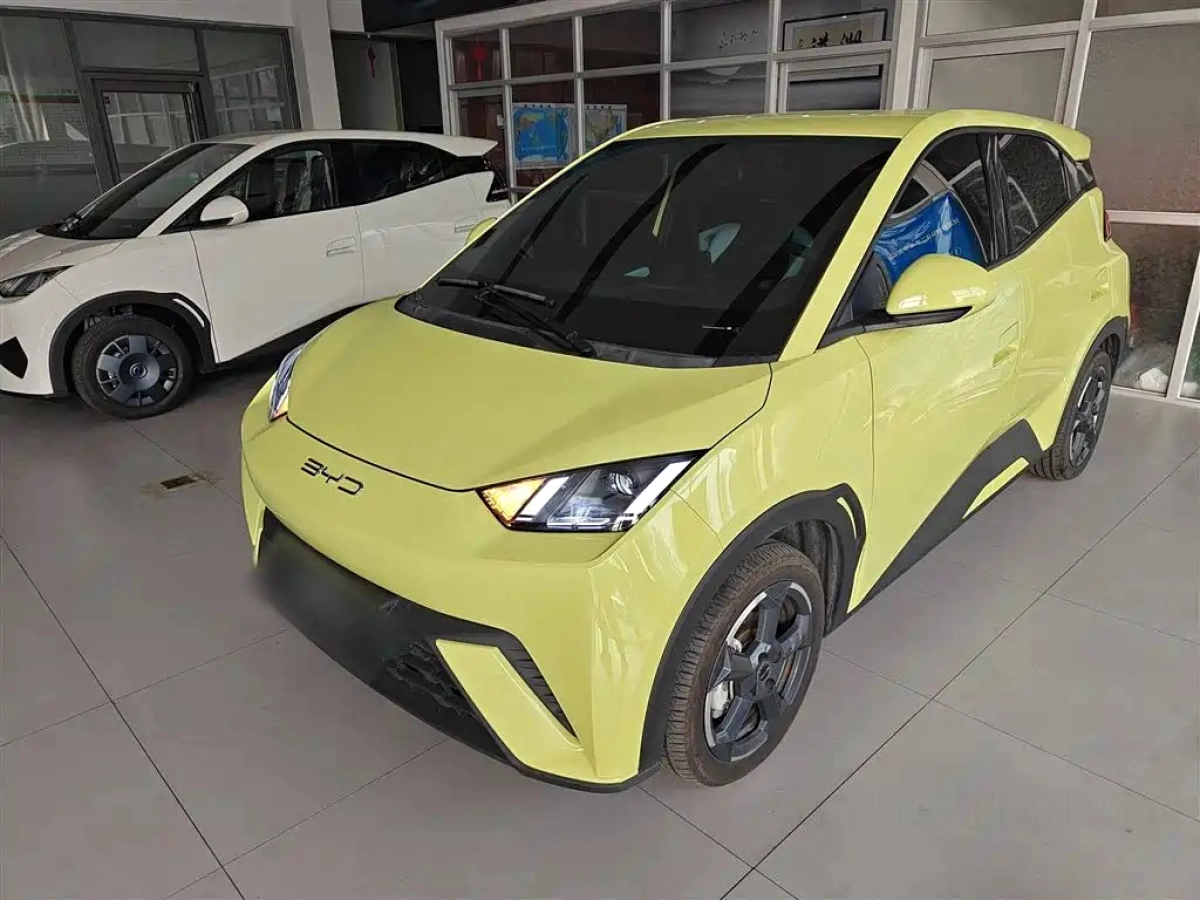 BYD SEAGULL  2023