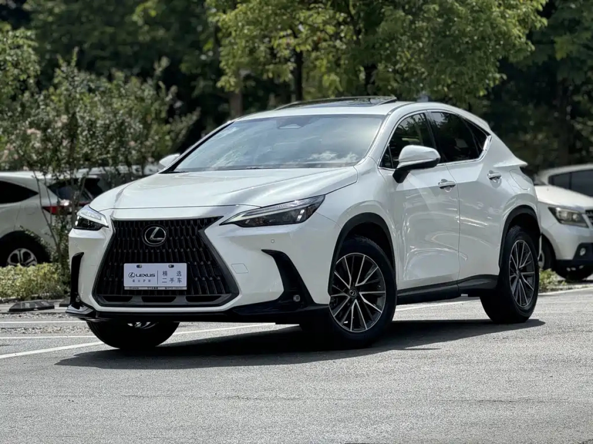LEXUS NX  2021