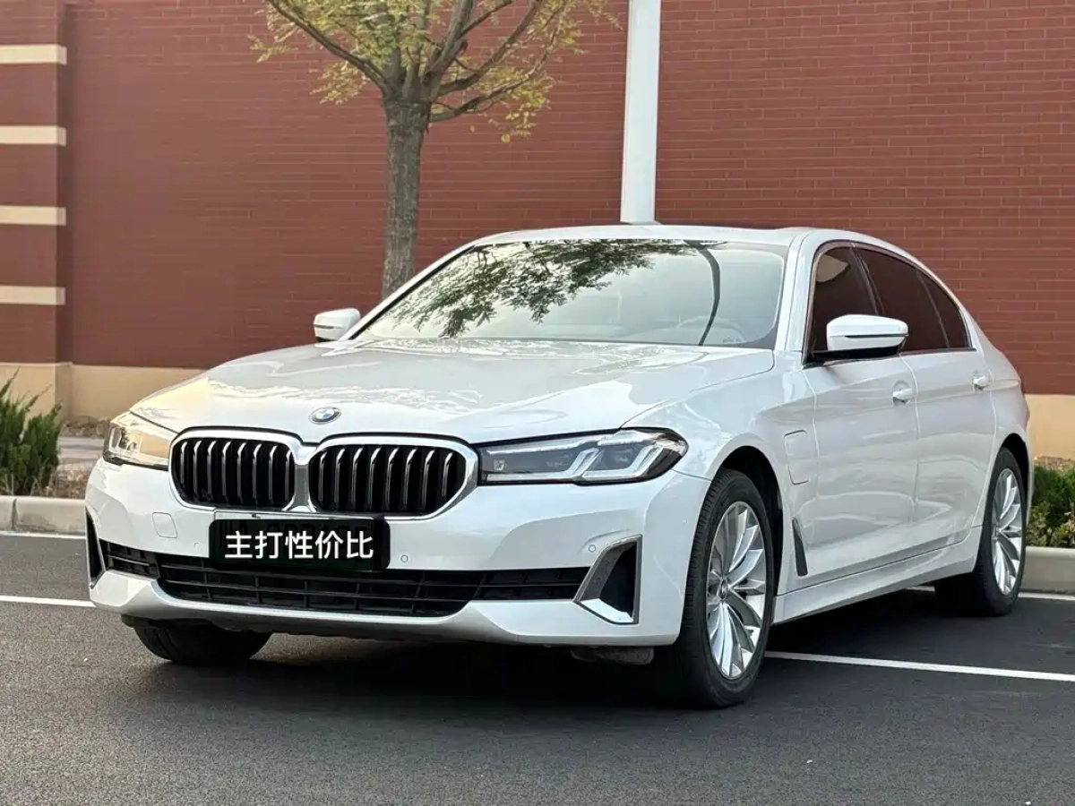 BMW 5-SERIES NEW ENERGY  2021