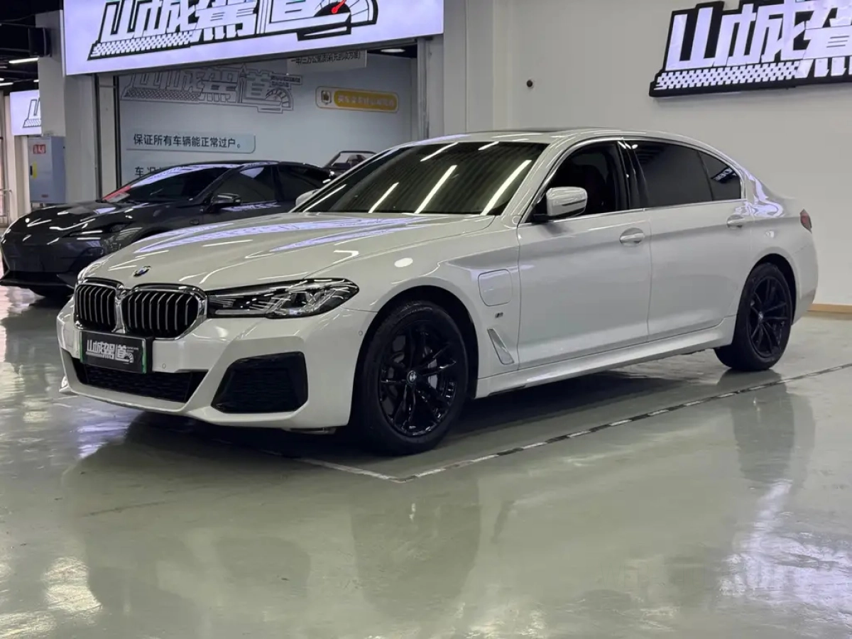 BMW 5-SERIES NEW ENERGY  2021