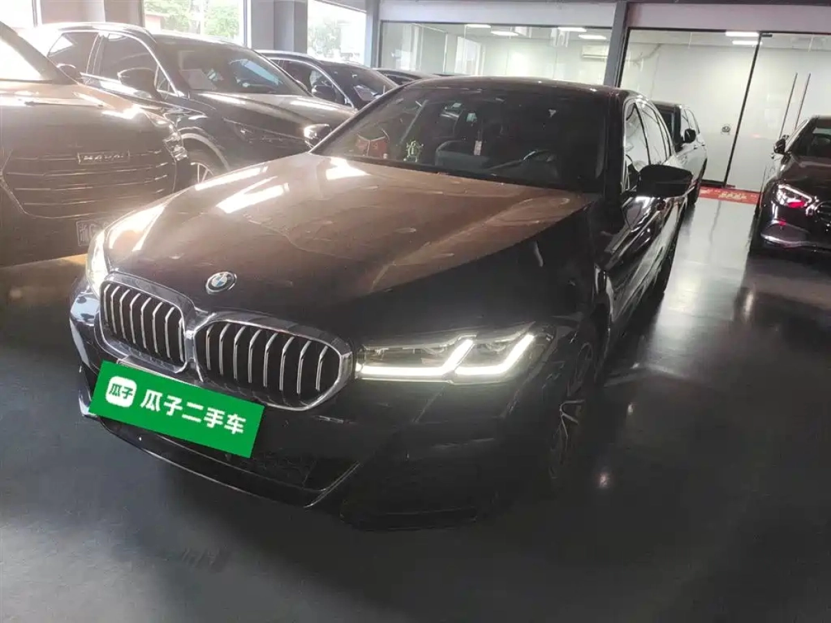 BMW 5-SERIES NEW ENERGY  2021