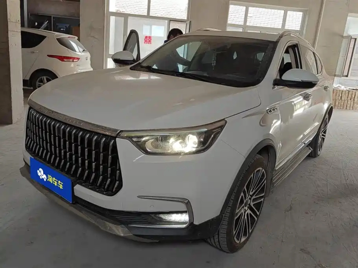 LEOPAARD MATTU  2019