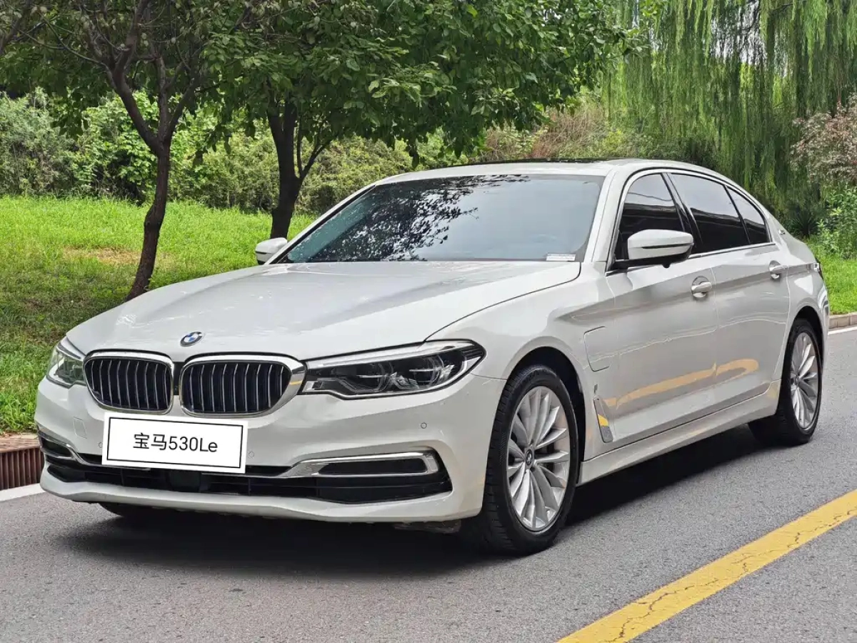 BMW 5-SERIES NEW ENERGY  2019