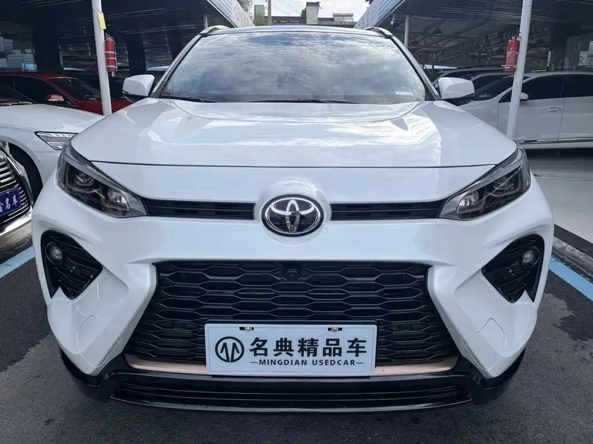 TOYOTA WILDLANDER