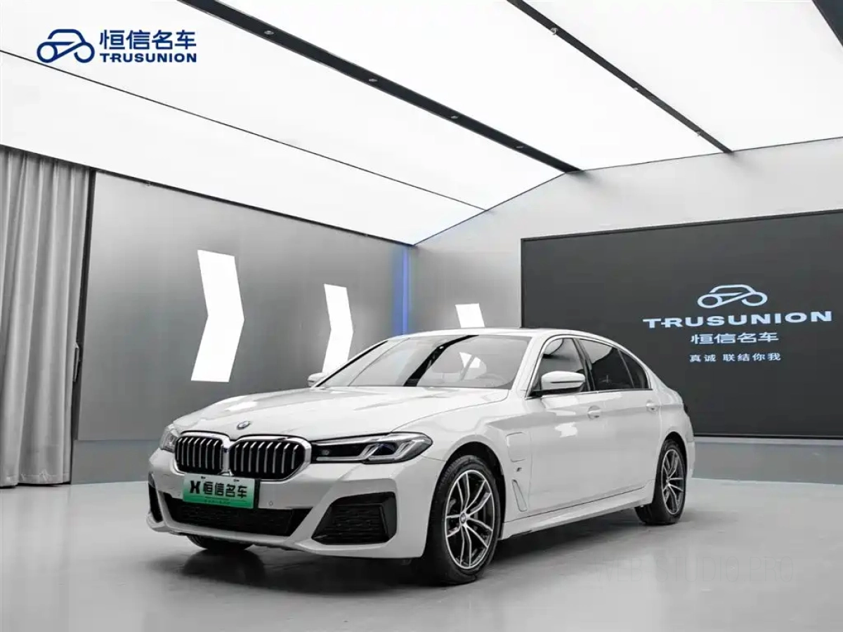 BMW 5-SERIES NEW ENERGY  2021