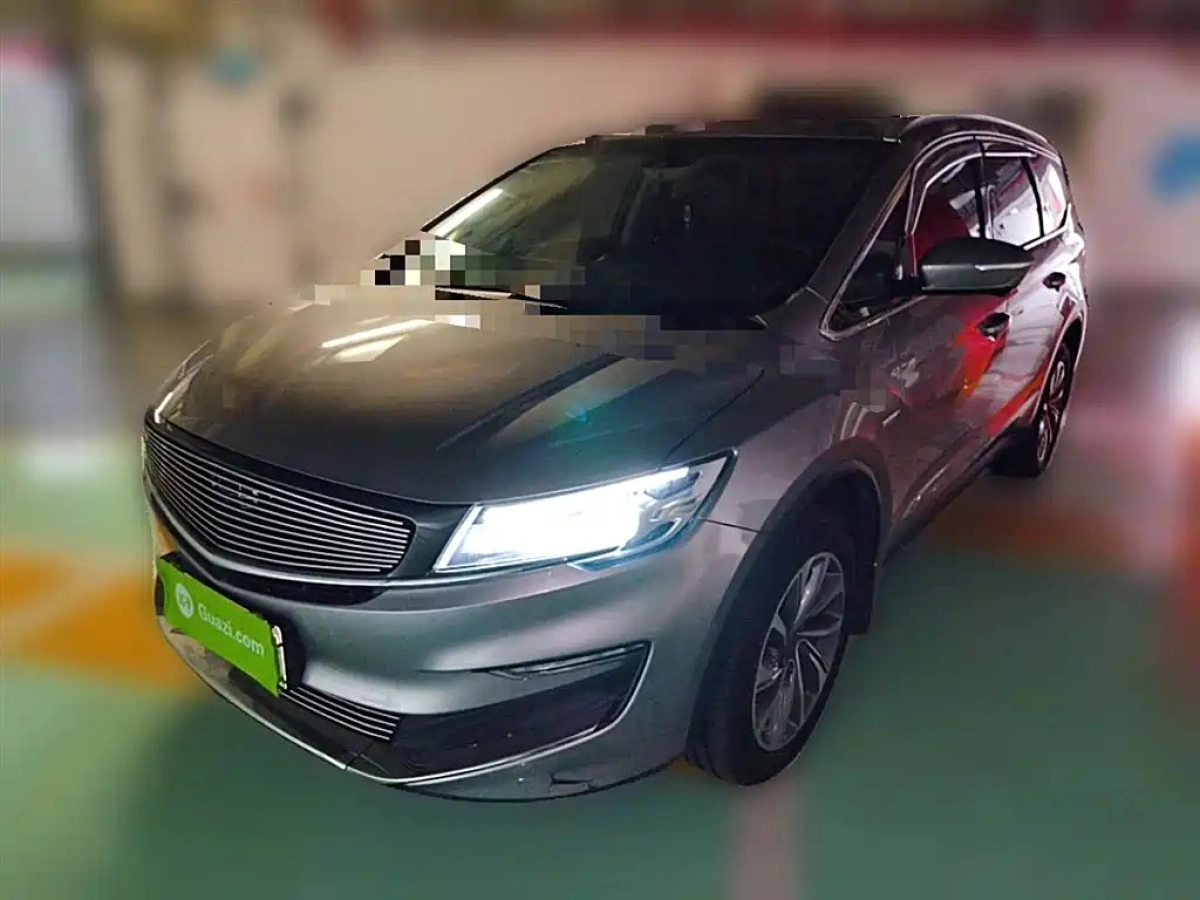 GEELY AUTO JIAJI NEW ENERGY  2020