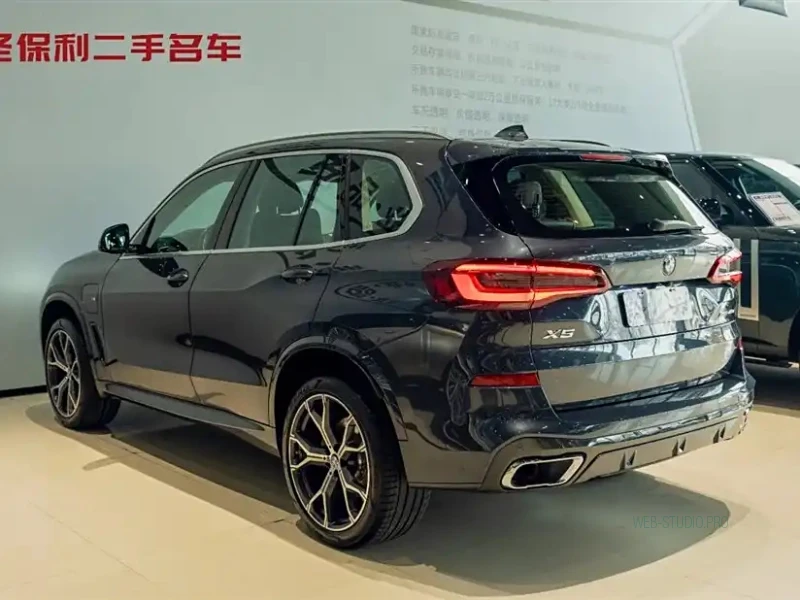 BMW X5 NEW ENERGY IMPORT