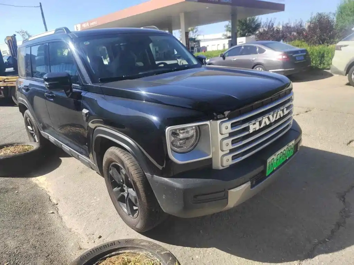 HAVAL RAPTOR NEW ENERGY  2024
