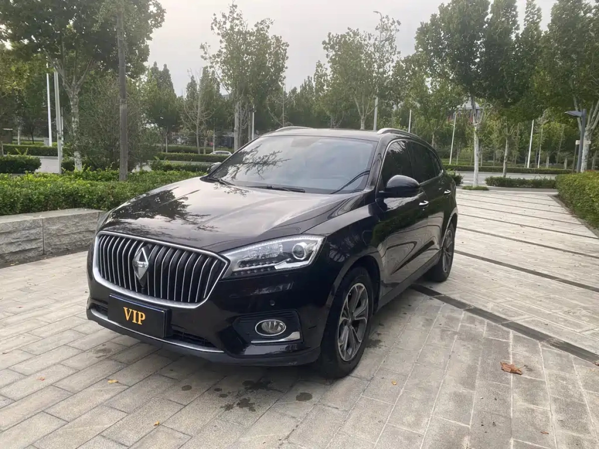 BORGWARD BX7