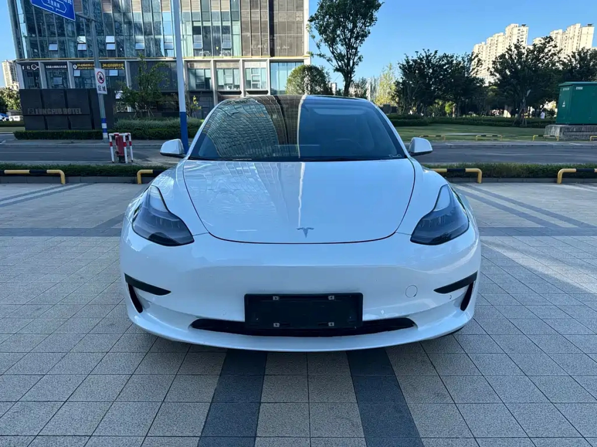 TESLA MODEL 3  2021