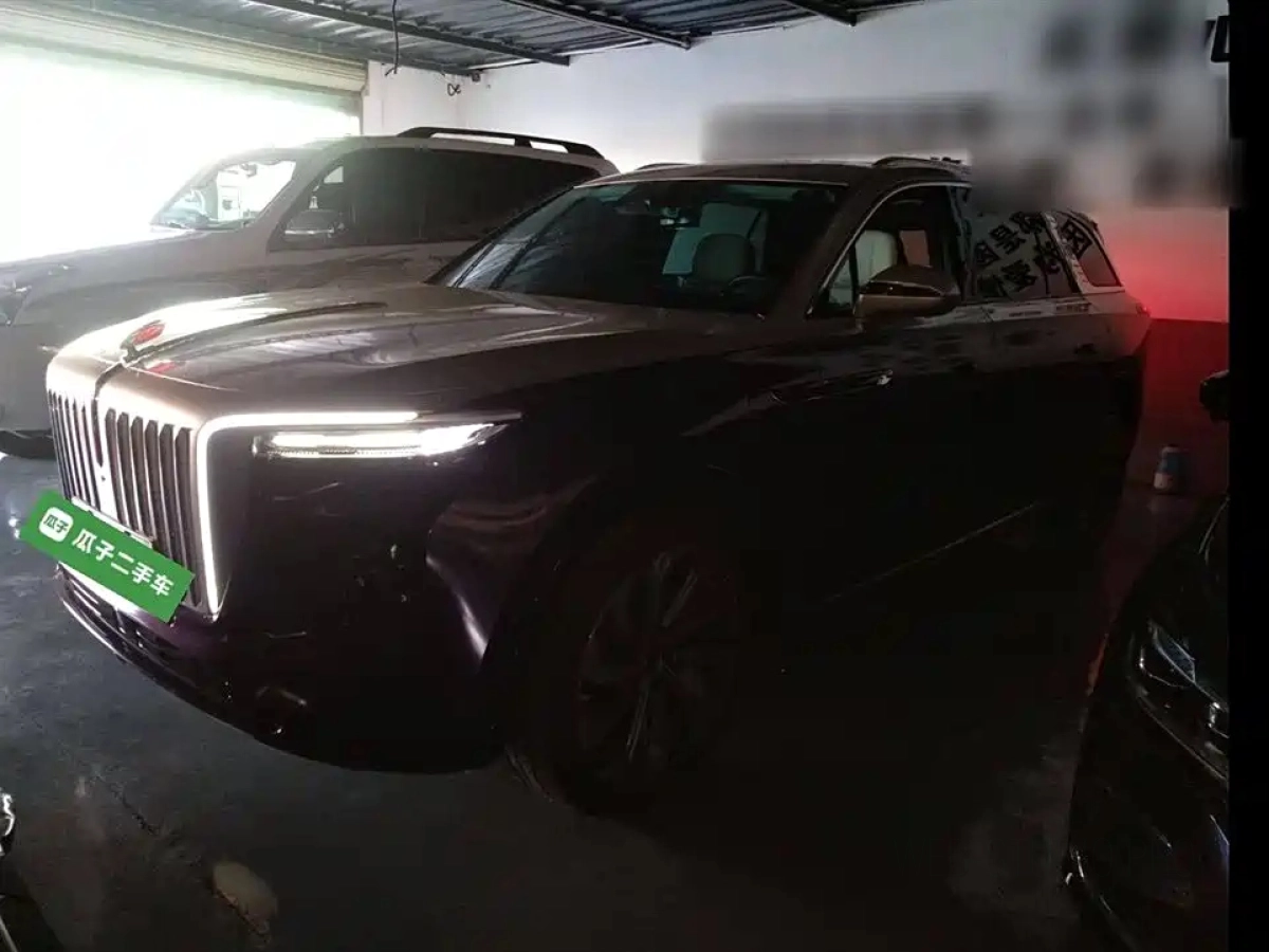 HONGQI E-HS9