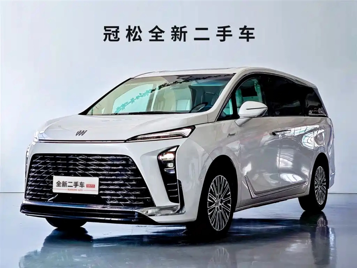 BUICK GL8 NEW ENERGY