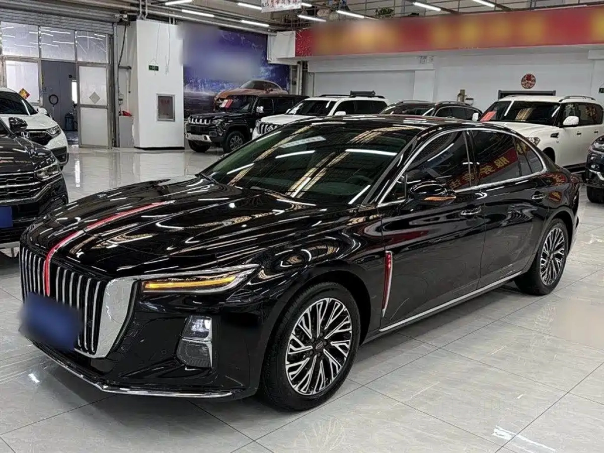HONGQI H5  2024
