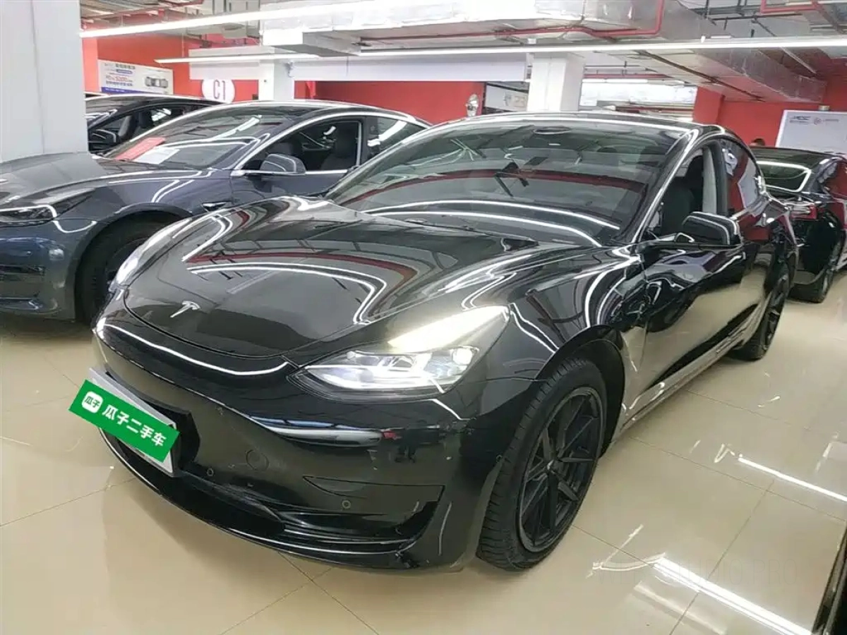 TESLA MODEL 3  2021