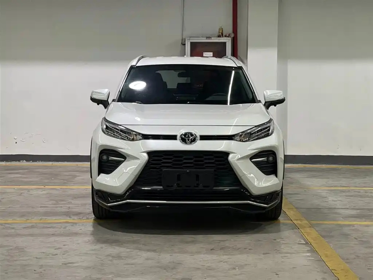 TOYOTA WILDLANDER