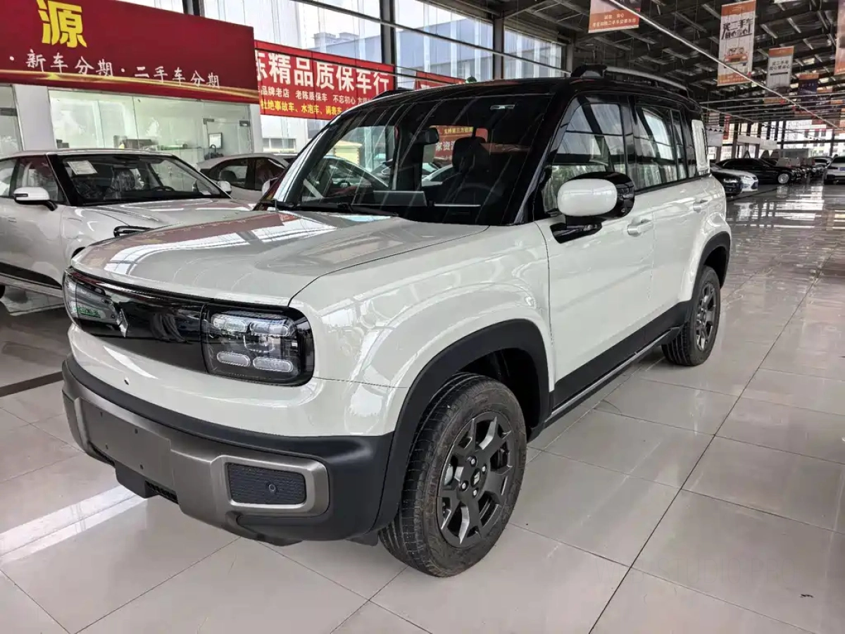 BAO JUN YUEYE PLUS  2025
