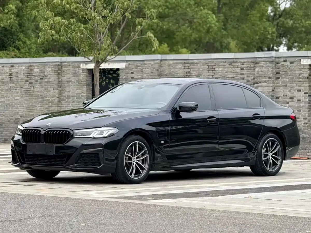 BMW 5-SERIES NEW ENERGY  2021