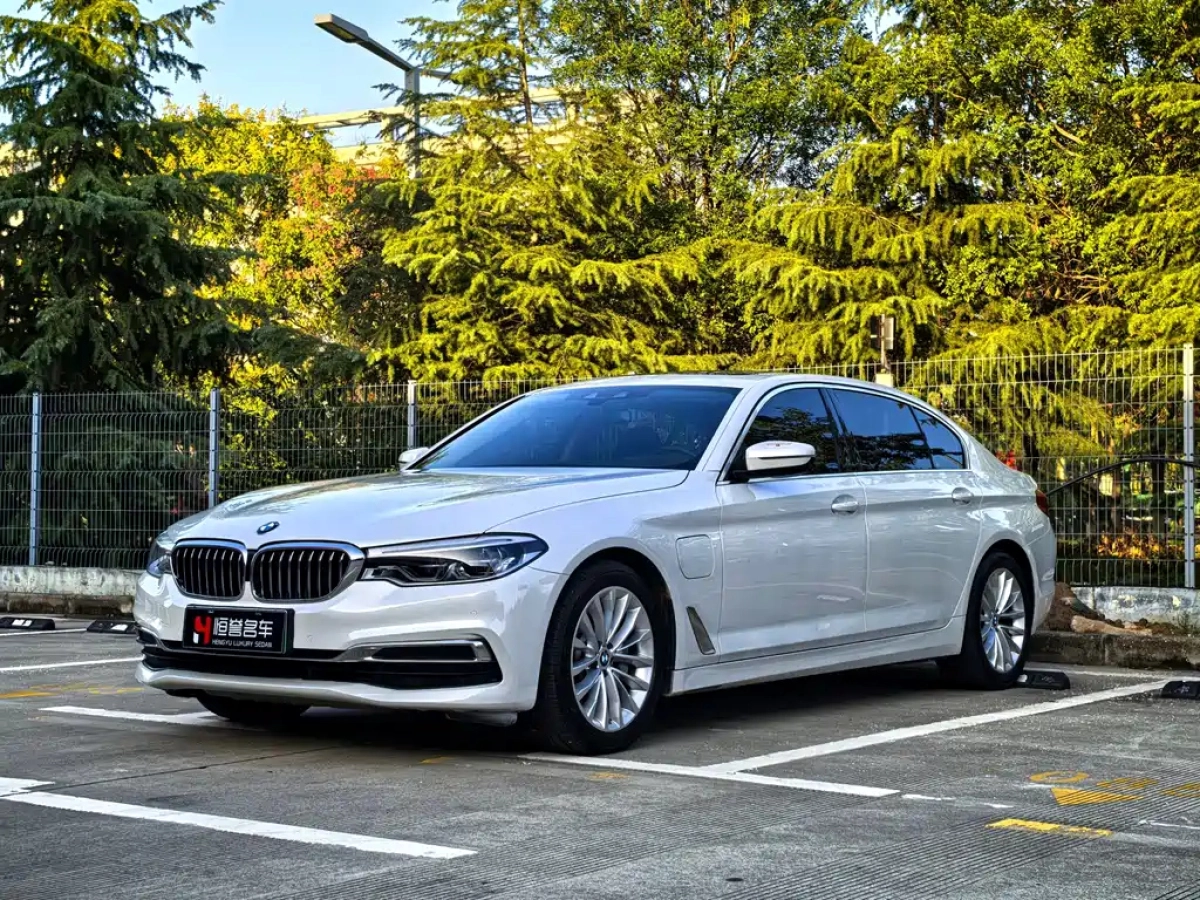 BMW 5-SERIES NEW ENERGY  2019