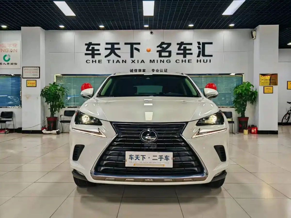 LEXUS NX