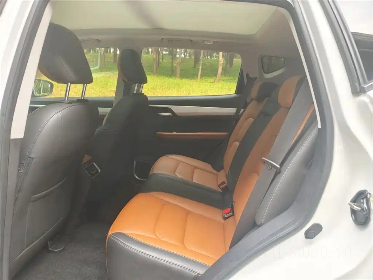 GEELY AUTO VISION X6