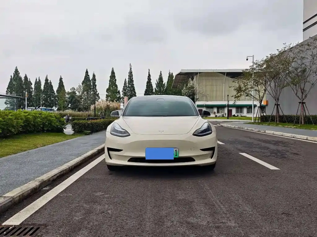 TESLA MODEL 3