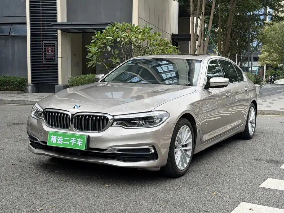 BMW 5-SERIES NEW ENERGY  2019