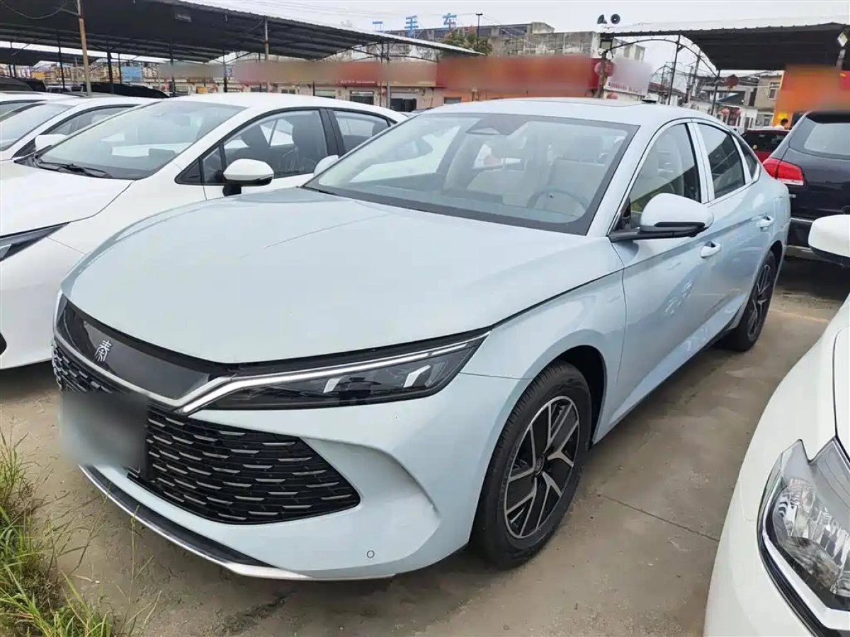 BYD QIN L  2025