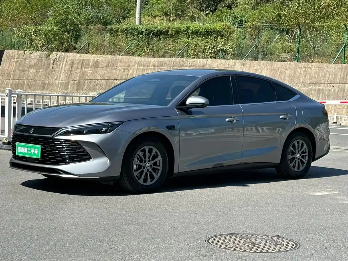 BYD QIN L  2025
