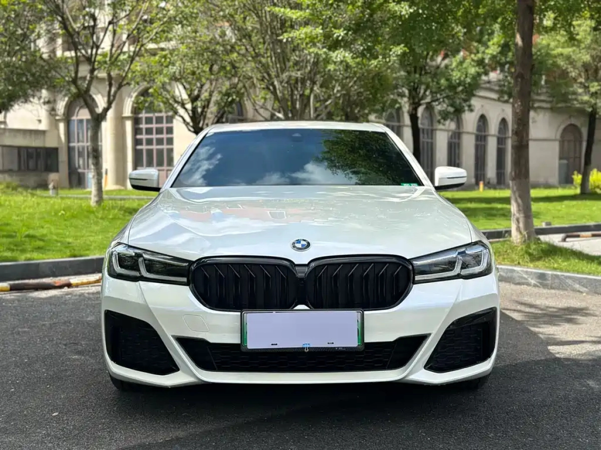 BMW 5-SERIES NEW ENERGY  2021