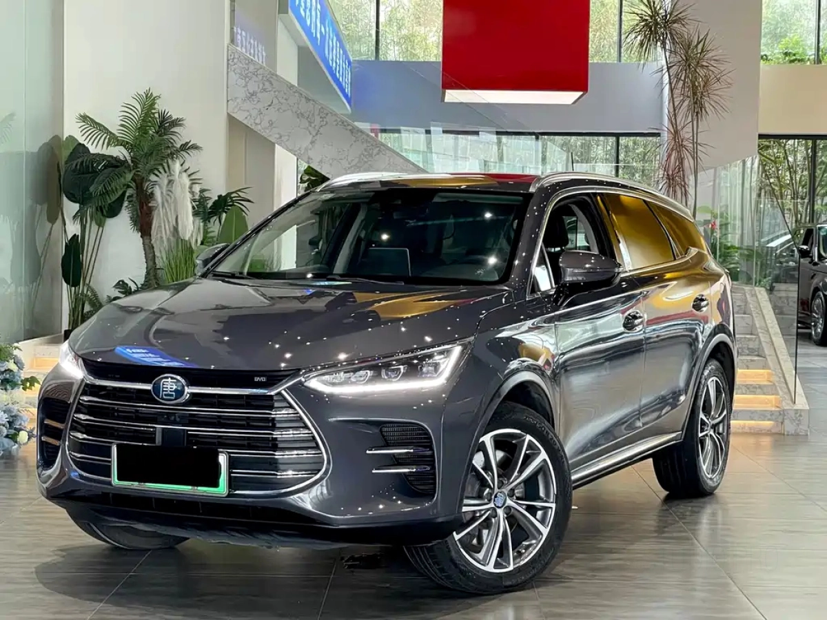 BYD TANG NEW ENERGY  2019