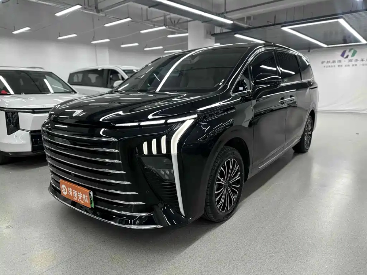 DONGFENG XINGHAI V9  2024