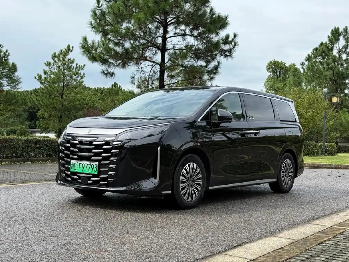 BYD XIA  2025