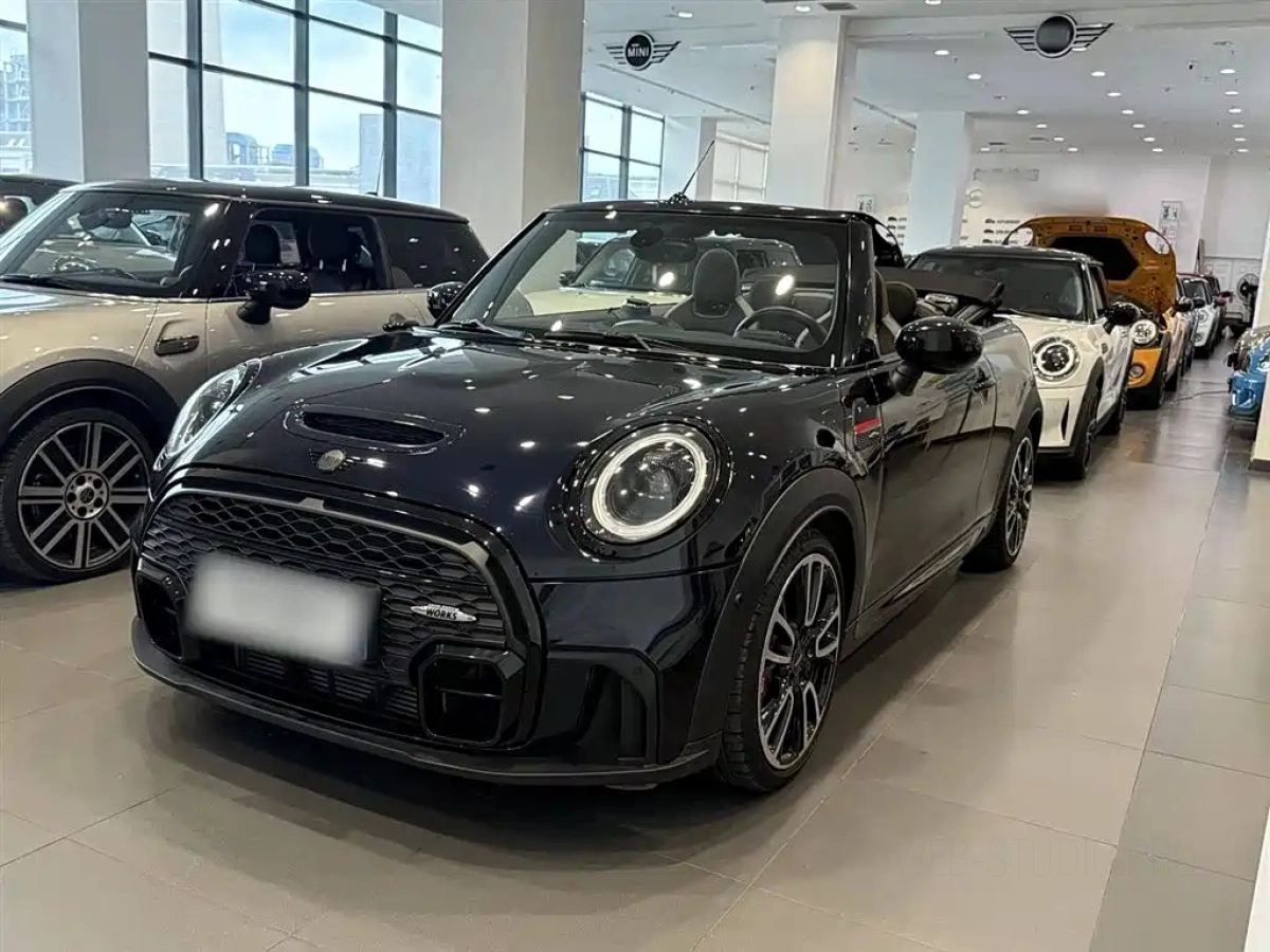 MINI OTHER
