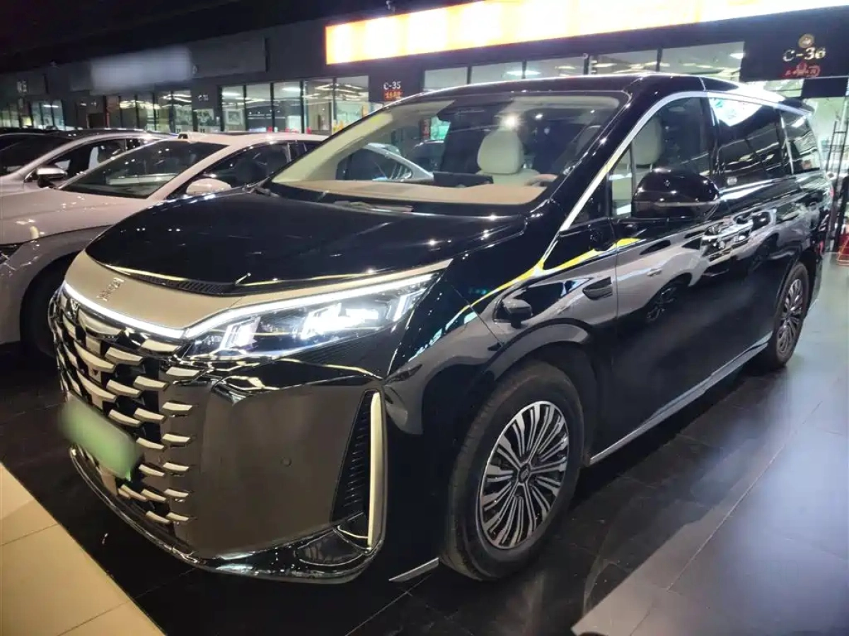 BYD XIA  2025